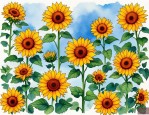 2025年关于太阳花的花语