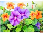 牵牛花是什么季节开的