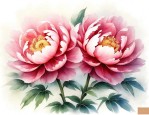 牡丹花在什么时候盛开