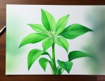 一帆风顺花怎么变绿色