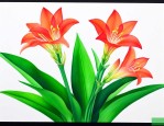 绿萝花的作文300字