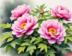 2025年牡丹花开花的季节