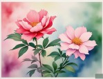 2025年哪些花可吸收甲醛