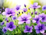 春天开紫色花有哪些花