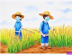 小麦拌种用什么农药好