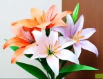 一步一步教我折百合花
