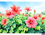 广东夏天适合种什么花