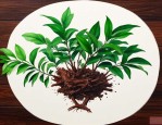 紫檀木和绿檀木的区别