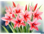 剑兰的花是什么样子的
