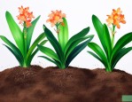 君子兰花土有小虫怎样去除