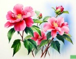 花常开不败的深层含义
