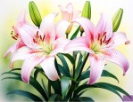 百合花花谢了怎么处理