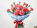 送花送康乃馨代表什么