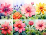 一年四季都可以开花的花