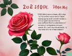 2025年玫瑰花的寄语短句