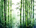 竹子属于什么植物类型