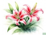 娟娟闻到百合花香味马上就能说出花名