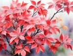 红叶开花的是什么品种