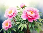 牡丹花生长在什么地方