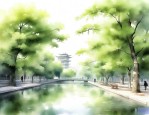 郑州市新枫杨