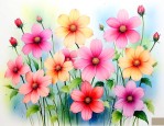 六月的花语和寓意是什么