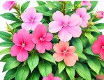 指甲花和凤仙花是一种花吗