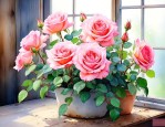 月季花室内养殖有毒吗
