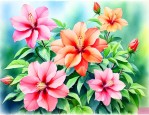 夏天的代表花是什么花