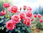 玫瑰花什么地方的最好