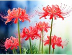 彼岸花可以种在家里吗