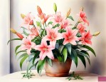 室内花期长的花有哪些