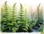 蕨类植物能净化空气吗