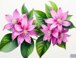 三七花有什么药用价值