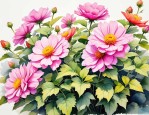 2025年北方夏季开花植物
