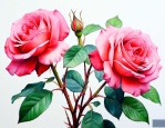 月季花扦插多少天生根