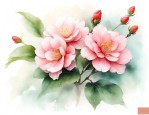 海棠花的花语.