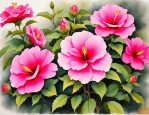 2025年芙蓉花可以插活吗