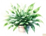 关于养绿植的唯美句子