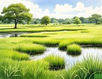 2025年适合养殖种植的草