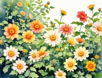 2025年那些花在夏天开放