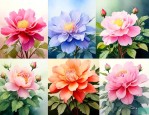哪些花一年四季都开花