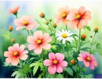 夏天都开什么花 常见