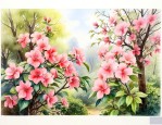 一年四季开花木本植物