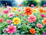 花坛一般种植什么花卉