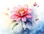 什么花夏天凋谢