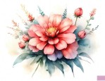 花朵支数的含义