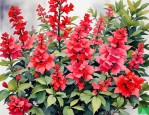 2025年适合秋冬种植的花