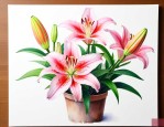 百合花适合用什么花盆