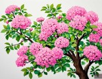 2025年幸福树开花好兆头
