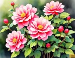 2025年宝石花开花的样子